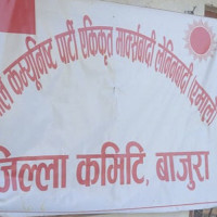 बसको ठक्करबाट एकको मृत्यु