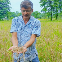 स्वास्थ्य सेवामा सुधार ल्याउन काम सुरु गरेको छु : मन्त्री सिंह