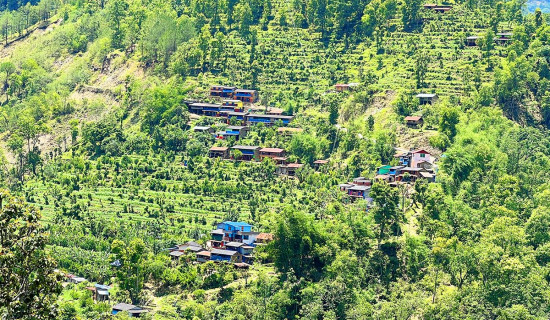 प्रभावित क्षेत्रमा सट्टाभरण सुरु