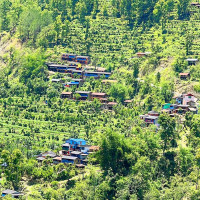 वर्तमान संविधान जोगाउन गठबन्धन : वरिष्ठ नेता पौडेल
