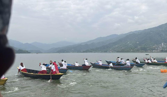 डुङ्गा दौडमा फेवा हर्पन र ताल पारीको जित