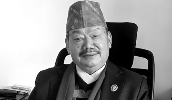 ‘भेनिस विएनाले’ कला महाेत्सवमा नेपालले पहिलोपटक सहभागिता जनाउँदै
