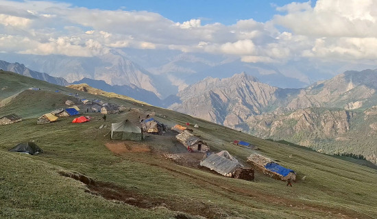 यार्सागुम्बा सङ्कलन गरिदाँको अस्थायी आवास
