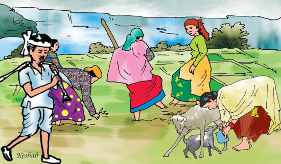 कृषि तथा पशु बिमा अनुदानमा डेढ अर्ब वितरण