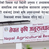 सङ्क्रमणकालीन न्यायलाई टुङ्ग्याउन कानुनी प्रबन्ध