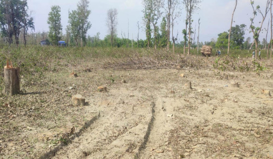युवा सम्मेलन बन्दैछ ‘जागरण थलो’
