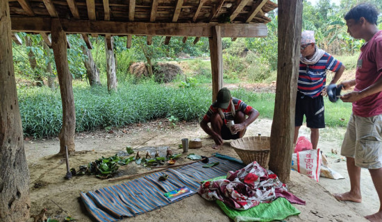 खेतीपाती सप्रियोस् भन्दै ढुरियापूजा
