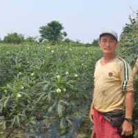 कोदारी–तातोपानी सडक एक साताका लागि बन्द