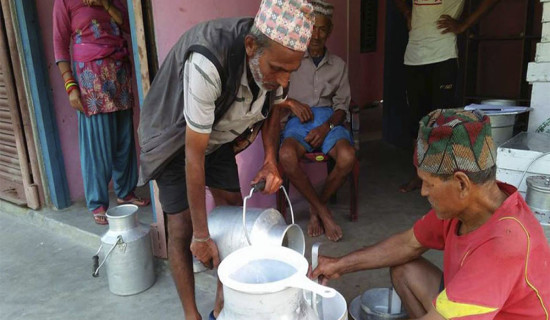 लमजुङमा दुध उत्पादन बढ्यो, दैनिक २५ सय लिटर निर्यात