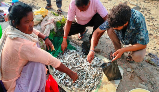 आलिताल गाउँपालिका प्रशासनिक भवनमा आगलागी