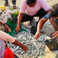 अछाम–१ मा मन्त्री कुँवर विजयी