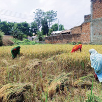 जग्गा खरिदमा बदमासी गर्ने व्यास नगरपालिकाका चार कर्मचारी निलम्बित