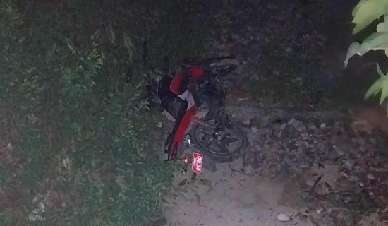पुलबाट मोटरसाइकल खस्दा चालकको मृत्यु