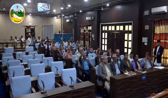 स्थानीय सेवा गठन विधेयक पारित