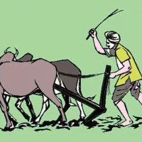 विद्यालयमा पाठ्यक्रमको समूह थप