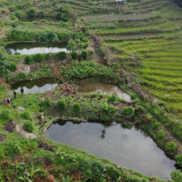 भन्सार छलीका करिब २३ लाखको सामान बरामद