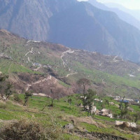 भन्सार छलीका करिब २३ लाखको सामान बरामद