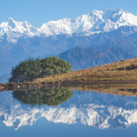 सामुदायिक वनमा आगो लगाउने दुई जना पक्राउ