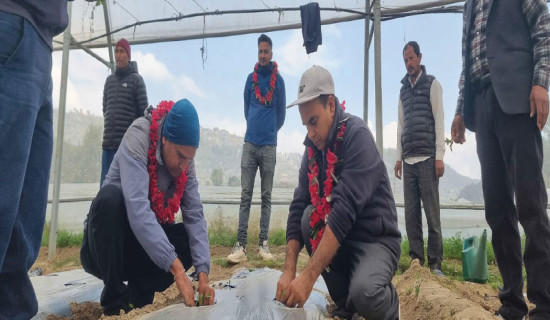 समावेशीकरणको दिशामा नयाँ फड्को : गोरखापत्रद्वारा प्रकाशित डडेल्धुरेली भाषा