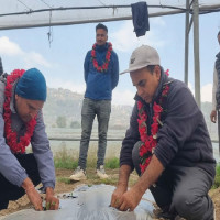 जस्ताको छानो (कविता)