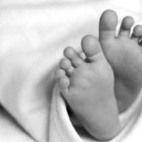 बैंकबाट ऋण लिएर शेयर बजारमा लगानी नगर्नुस् : मुख्यमन्त्री शाही
