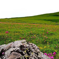 दशैँमा घर जान उपत्यका छाड्नेको लर्को(फोटो फिचर)