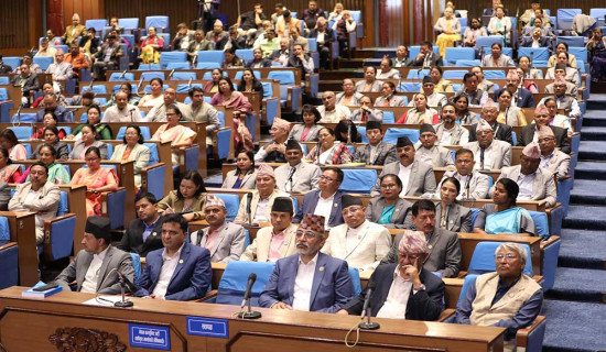 राजनीतिक दलको अन्तिम शक्ति प्रदर्शन (फोटो फिचर)