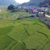 बागमती प्रदेशसभामा चिट्ठा विधेयक सर्वसम्मत स्वीकृत