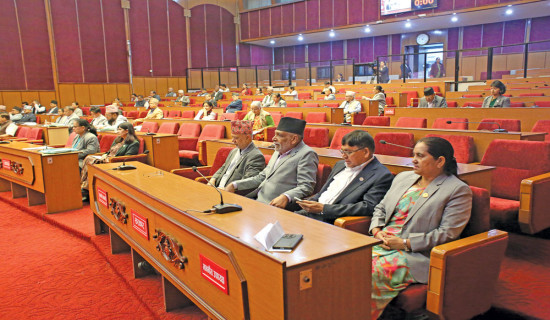 दरबार हत्याकाण्ड छानबिन गर्न माग