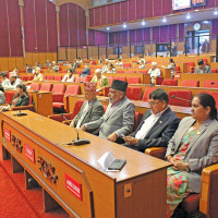 समितिको प्राथमिकतामा छैन विधेयक छलफल