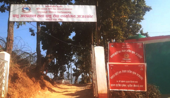 आफ्नो संरचना सशस्त्रले नछोडेपछि भाडामा बस्न बाध्य