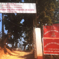 जम्न थाले नेपाली चलचित्र