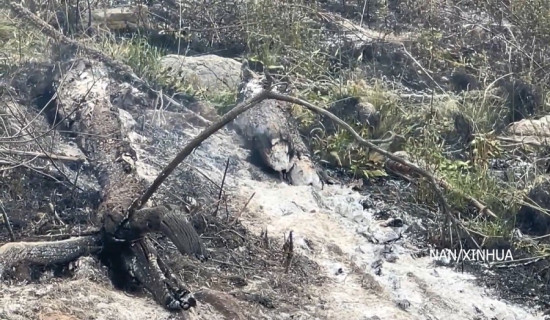 अष्ट्रेलियाको जन्मदर घट्यो