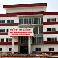 गुलाफमा पनि विदेशकै भर