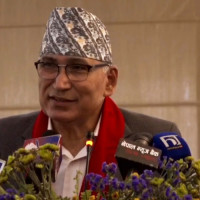 विश्वका कूल हिउँचितुवामध्ये १० प्रतिशत नेपालमा