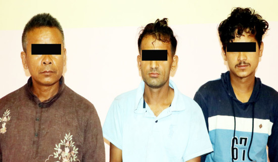नर्सिङ शिक्षा सङ्कटमा