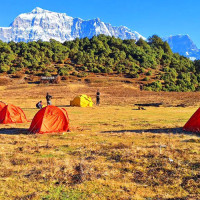 नर्सिङ शिक्षा सङ्कटमा
