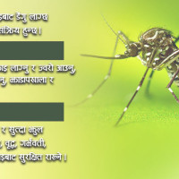 आज नागपञ्चमी पर्व मनाइँदै