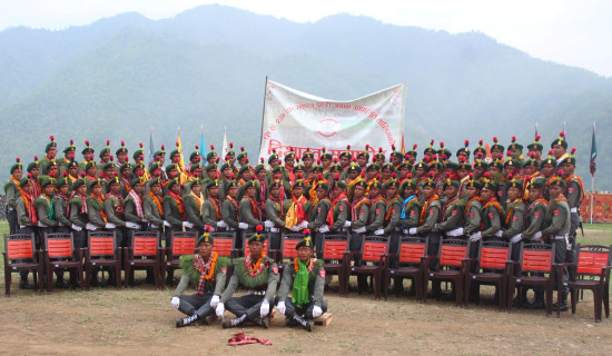तिहारको झिलिमिली[फोटो फिचर]