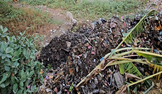 बीपी उच्च राजनीतिक चिन्तक र उत्कृष्ट स्रष्टा  : प्रधानमन्त्री