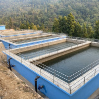 ‘निर्णय नगर्ने कर्मचारीलाई छ महिना कैद’