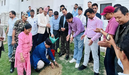 जन्मदिनमा मुख्यमन्त्रीले रोप्नुभयो श्रीखण्डको विरुवा