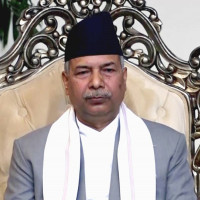 राष्ट्रपति र उपराष्ट्रपतिको निर्वाचन,लिङ्ग वा समुदायबारे फरक मत