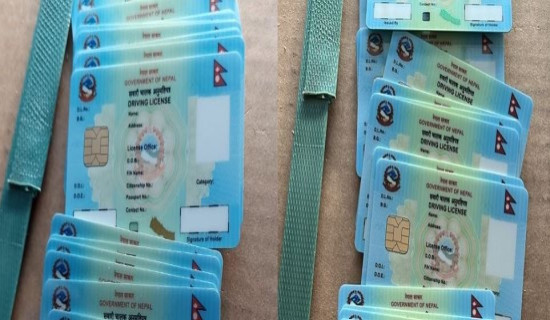 राष्ट्रपति र उपराष्ट्रपतिको निर्वाचन,लिङ्ग वा समुदायबारे फरक मत