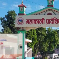 उखु खेतीबाट लाखौँ आम्दानी