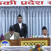 फड्को मार्दै चित्रकला