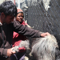 टिपरको ठक्करबाट प्रहरी जवानको मृत्यु