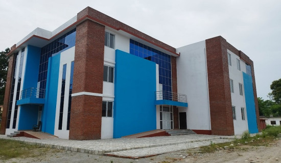 विदेशमा नेपाली नर्स