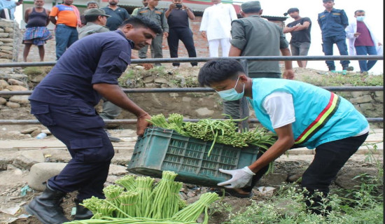 दस हजार झोलुङ्गे पुल निर्माण
