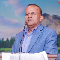 मनाइयो होली